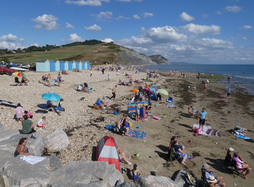 Charmouth removals and clearance