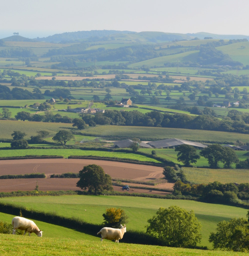 Removals and Clearance company serving in Marshwood Vale Dorset