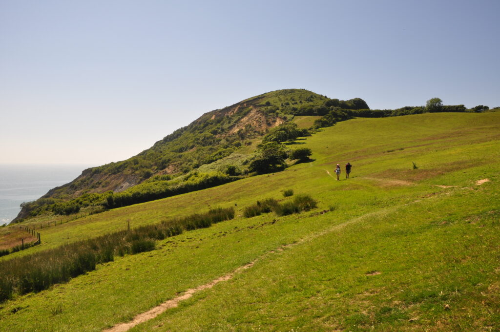 Removals and Clearance company serving in West Dorset rural towns and villages