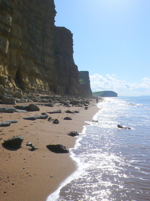 Removals and Clearance company serving in West Dorset and beyound