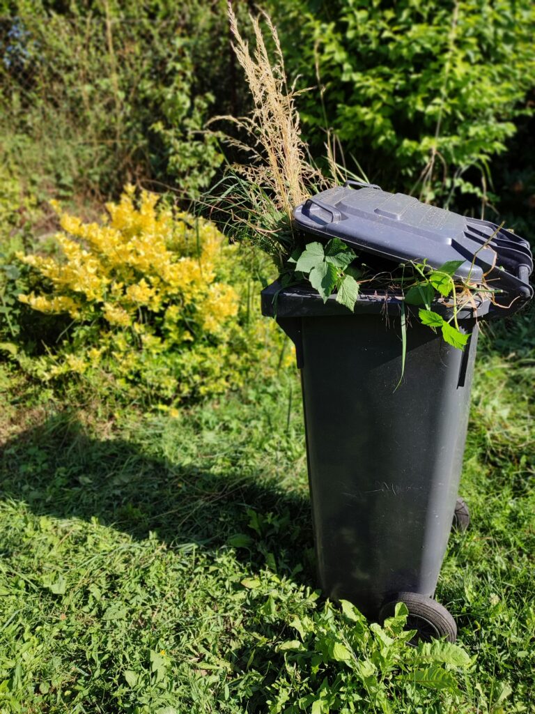 a garden waste bin, ready for garden clearance