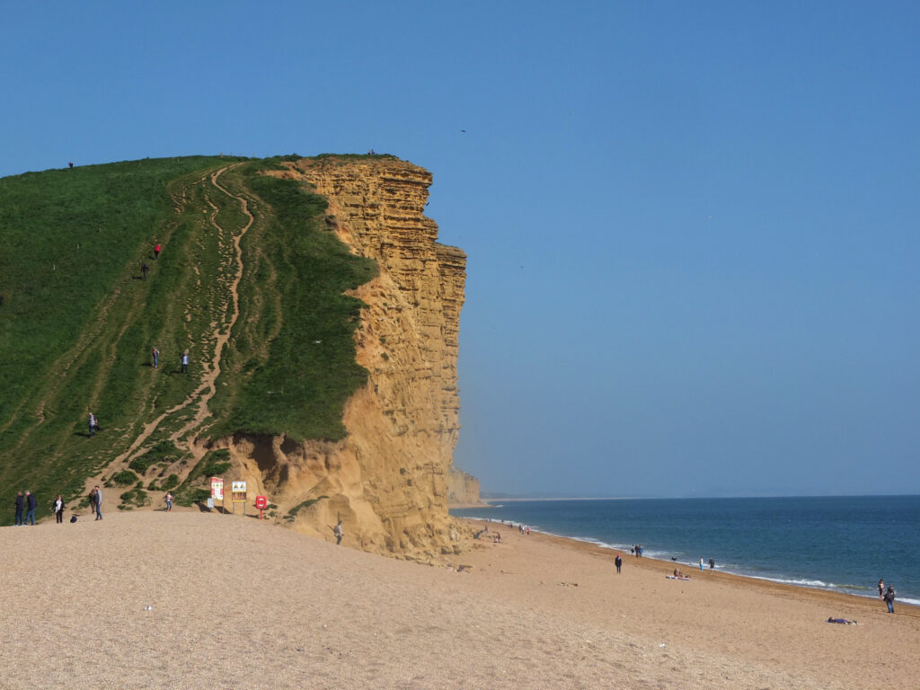 Removals and Clearance company serving in West Bay Dorset